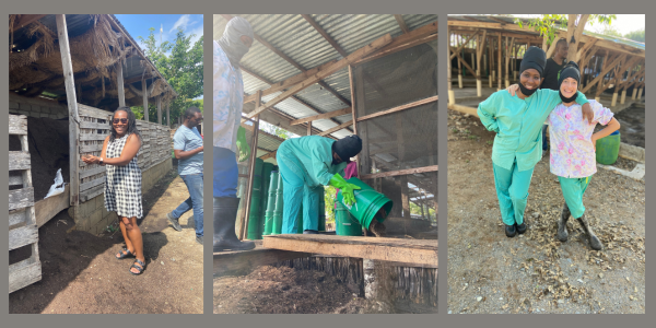Winnie at work at our composting facility in Haiti