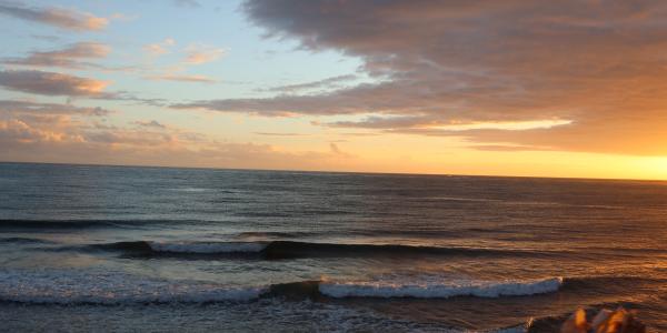 Rival at sunrise