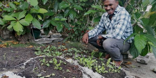 SOIL’s Director of Operations, Djimitri Célestin, growing directly out of Konpòs Lakay bags mixed with soil.