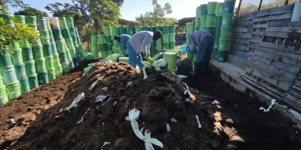 SOIL’s Research Team experimenting with compostable container liners