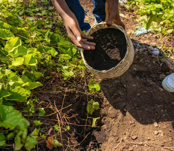 konpos lakay brand image