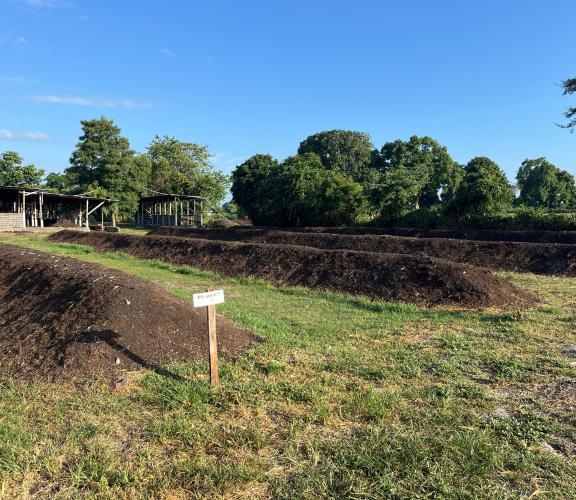 Compost Windrow Piles