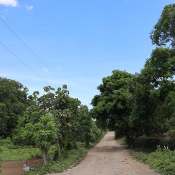 Mouchinette Road to Compost Site