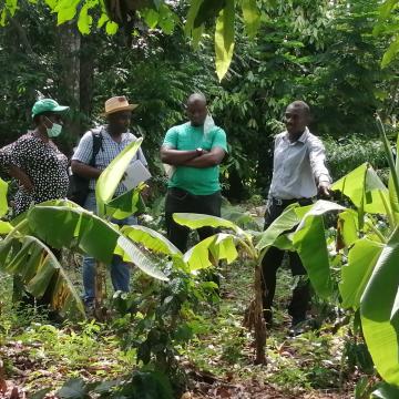 BNEE staff visiting Konpòs Lakay customer’s coffee plantation
