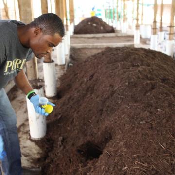 testing compost