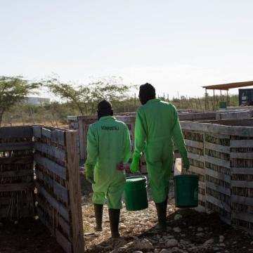 Photo Credit: Leonora Baumann / item