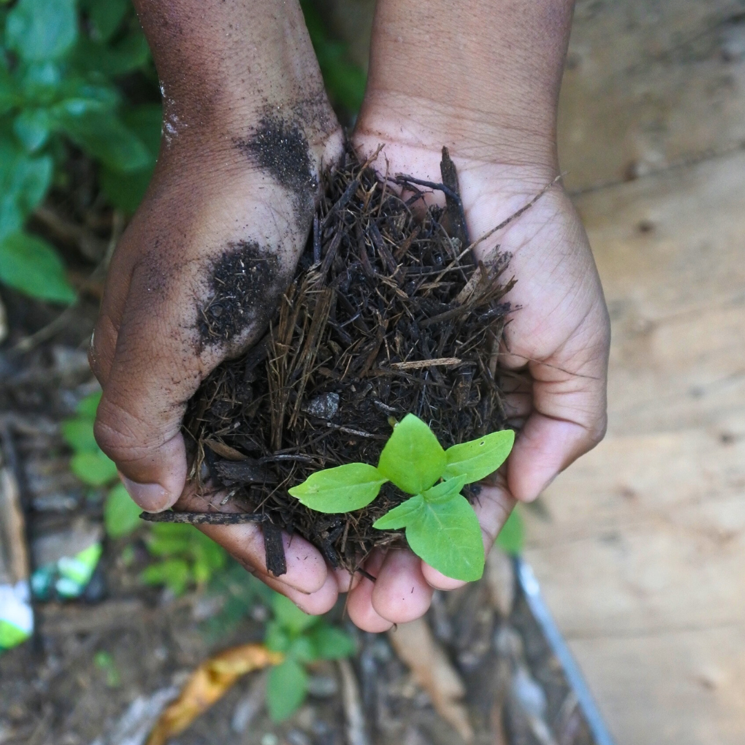 Prof Jamie Compost Hands