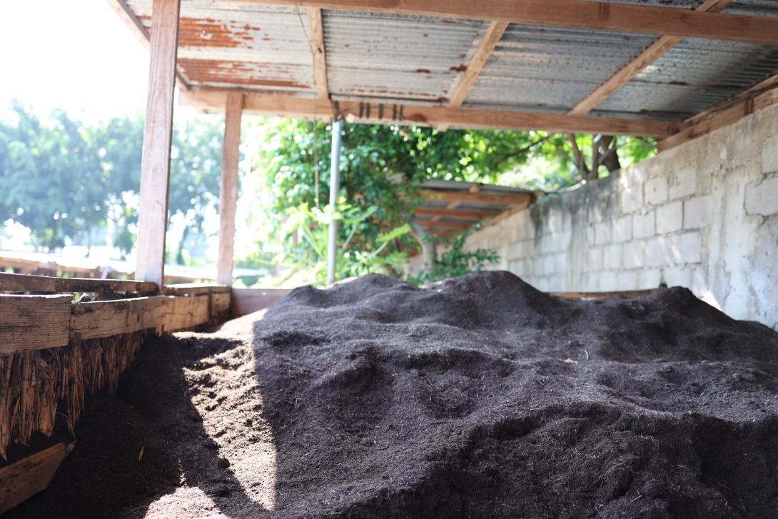 Compost pile Mouchinette