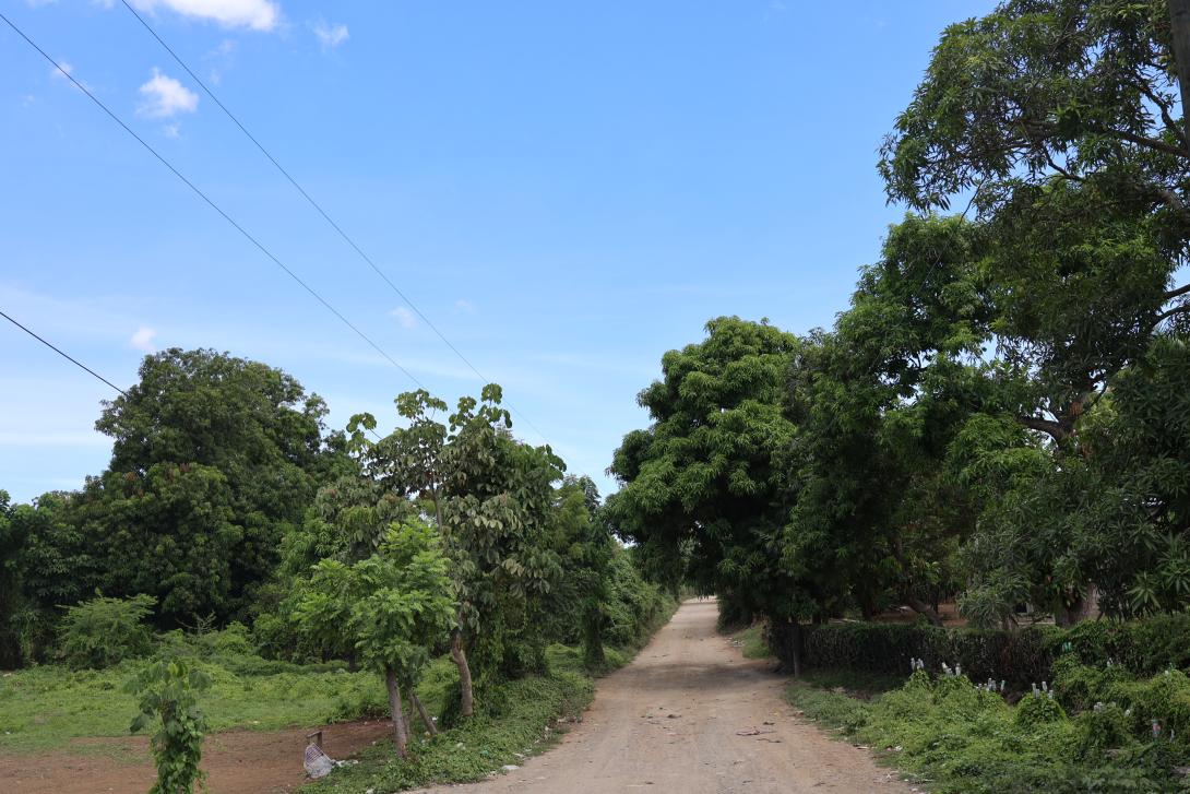 Mouchinette Road to Compost Site
