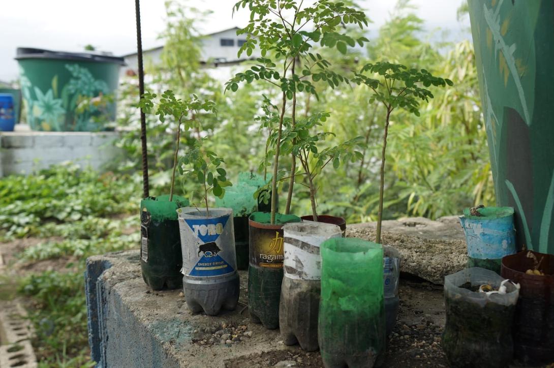 plastic bottle planters