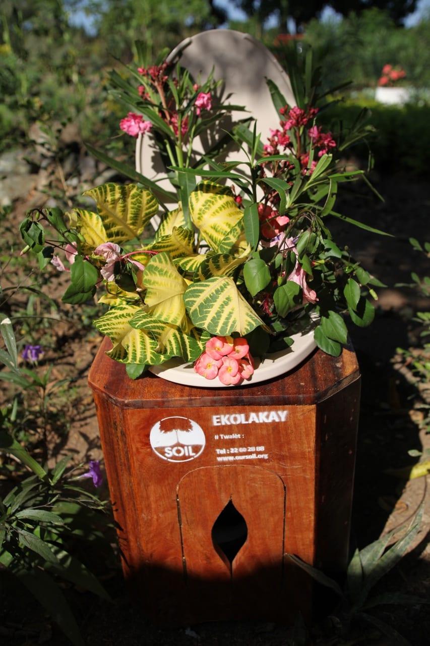 Compost