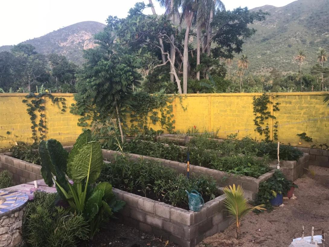 SOIL garden