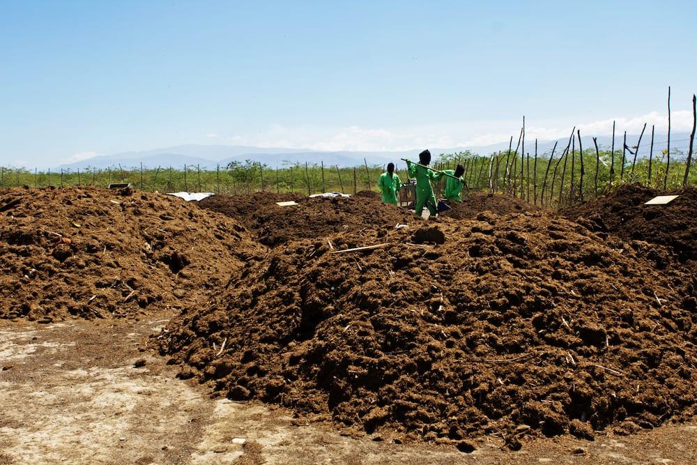 compost