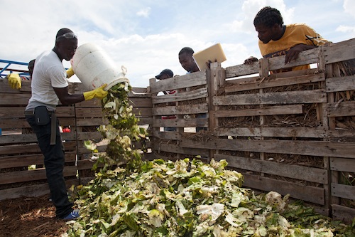 131031 dumping veggies