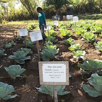 131221 SREDD Chou Intern