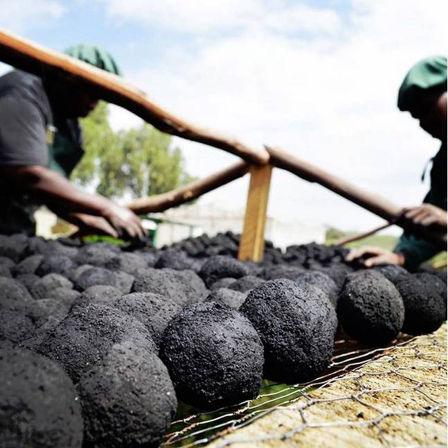 Photo courtesy of India Today